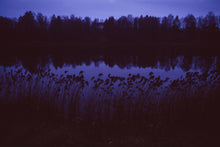 Load image into Gallery viewer, Indigo, winter colours. Talsi, Latvia.