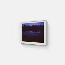 Load image into Gallery viewer, Indigo, winter colours. Talsi, Latvia.