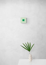 Load image into Gallery viewer, Spearmint