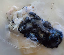Load image into Gallery viewer, My Beautiful Puddle Rock