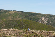 Load image into Gallery viewer, Untitled, Sintra (Speck Series)