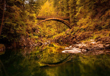 Load image into Gallery viewer, Moulton Bridge