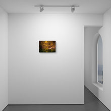 Load image into Gallery viewer, Moulton Bridge