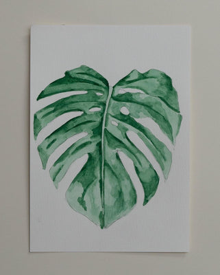 Monstera 2
