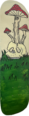 Skull and fungi