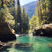Load image into Gallery viewer, Aqua