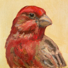 Load image into Gallery viewer, Portrait of a House Finch