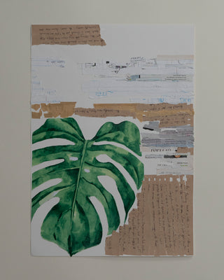 Monstera fragmented brown