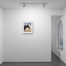 Load image into Gallery viewer, Black Beauty