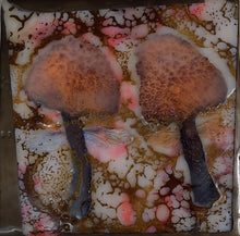 Load image into Gallery viewer, FairyShrooms