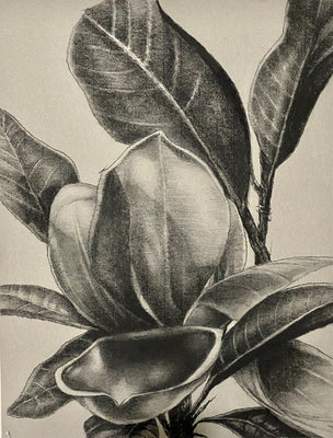 Like a shadow covering parts of my heart, how can I explain