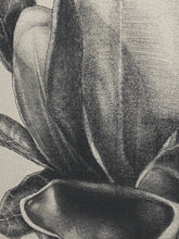 Load image into Gallery viewer, Like a shadow covering parts of my heart, how can I explain