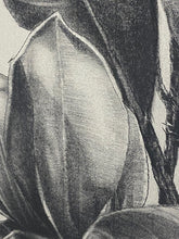 Load image into Gallery viewer, Like a shadow covering parts of my heart, how can I explain