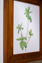 Load image into Gallery viewer, Spring Leaves I