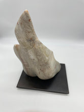 Load image into Gallery viewer, Interlude of a Silhouette