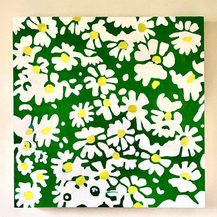 Daisy Field