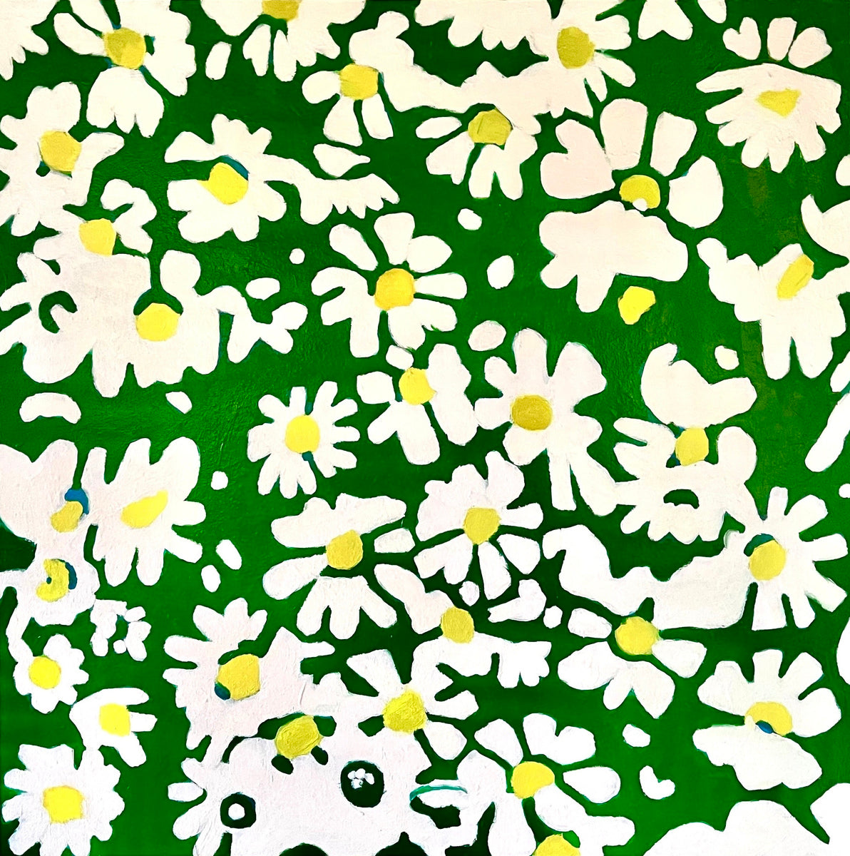 A. Lilly Miscoe
