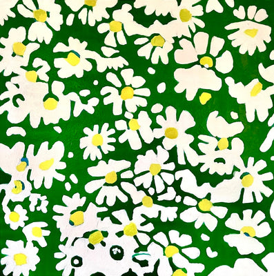 Daisy Field