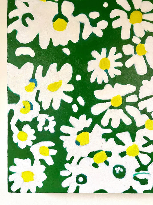 Daisy Field