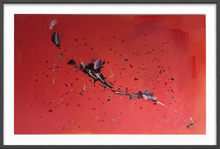 Load image into Gallery viewer, Rebirth