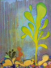 Load image into Gallery viewer, Kelp Cavern