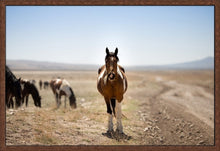 Load image into Gallery viewer, LADY