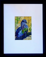 Load image into Gallery viewer, Nicobar Pigeon
