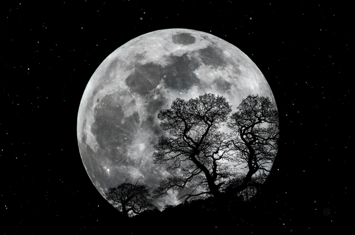 Full Moon