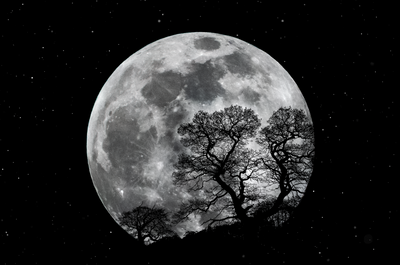 Full Moon