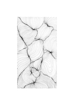 Fibre (3)