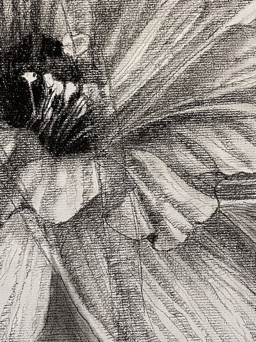 Bathe in the spring and sow a seed of peace