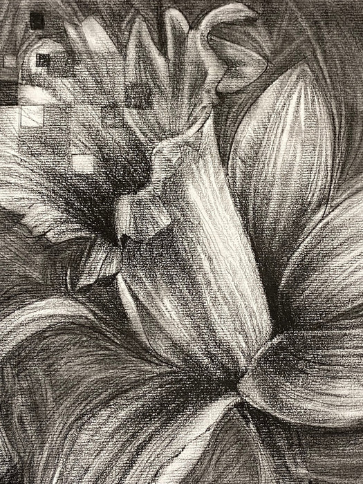 Bathe in the spring and sow a seed of peace