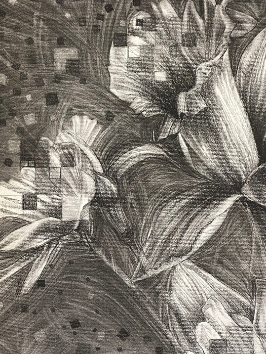 Bathe in the spring and sow a seed of peace