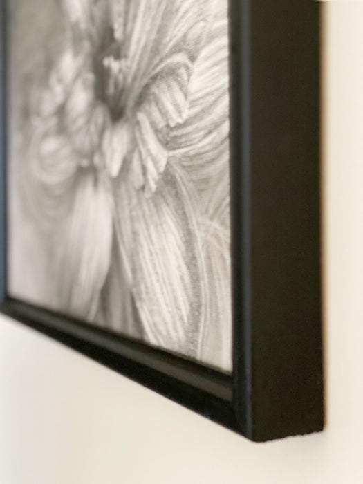 Bathe in the spring and sow a seed of peace