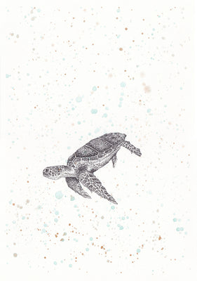 Chelonia Mydas (1)