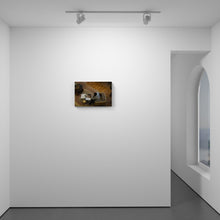 Load image into Gallery viewer, Quiet Contemplation