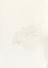 Load image into Gallery viewer, Winter Study 4