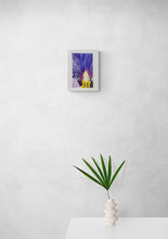 Load image into Gallery viewer, Iris