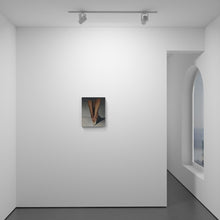 Load image into Gallery viewer, Landed