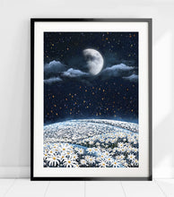 Load image into Gallery viewer, Calmness