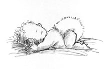 Load image into Gallery viewer, Sleep little one