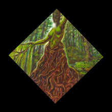 Load image into Gallery viewer, Olympic Dryad