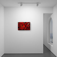 Load image into Gallery viewer, Screen