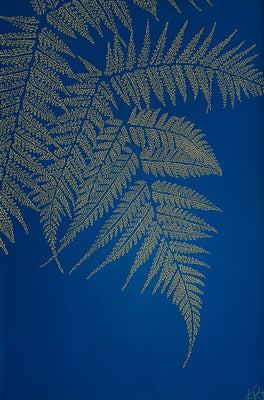 Fluorescent Fern