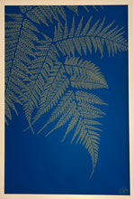 Load image into Gallery viewer, Fluorescent Fern