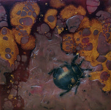 Load image into Gallery viewer, Hunny Bug