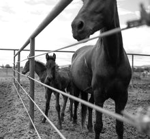 Load image into Gallery viewer, Mother's Love