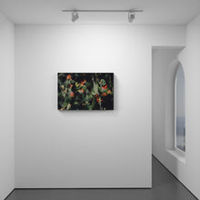 Load image into Gallery viewer, Orbis Terram II