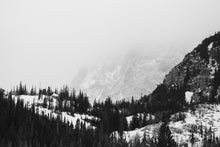 Load image into Gallery viewer, Into the Fog