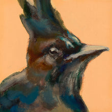 Load image into Gallery viewer, Portrait of a Steller's Jay